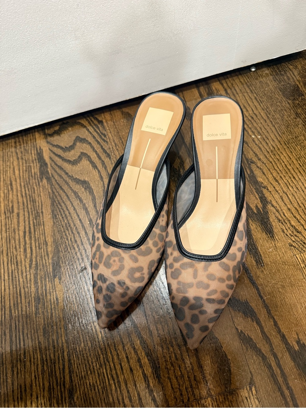 Dolce Vita Leopard-Print Pointed Mule with Black Trim